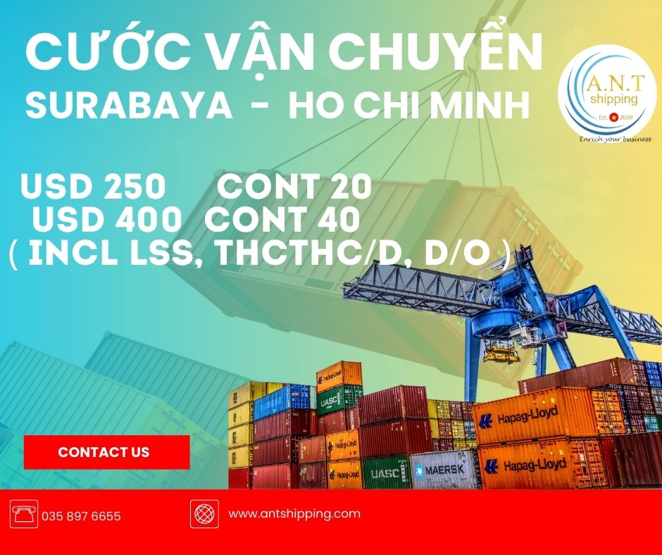 Cước vận chuyển quốc tế Indonesia- Hồ Chí Minh